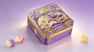 时尚丽沙540g