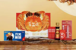 498型6只