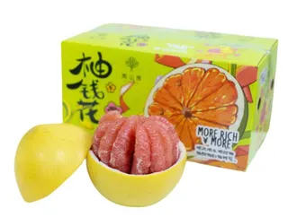 平和蜜柚-红心柚