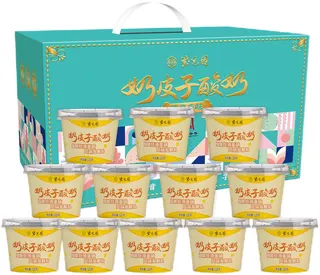 紫光园奶皮子酸奶礼盒1440g